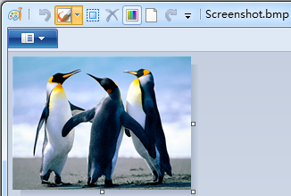 Print Screen